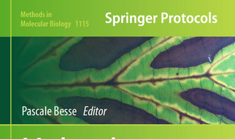 Molecular Plant Taxonomy - P. Besse