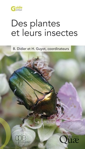 Des plantes et des insectes