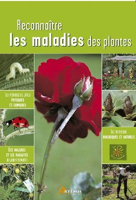 Maladies des plantes