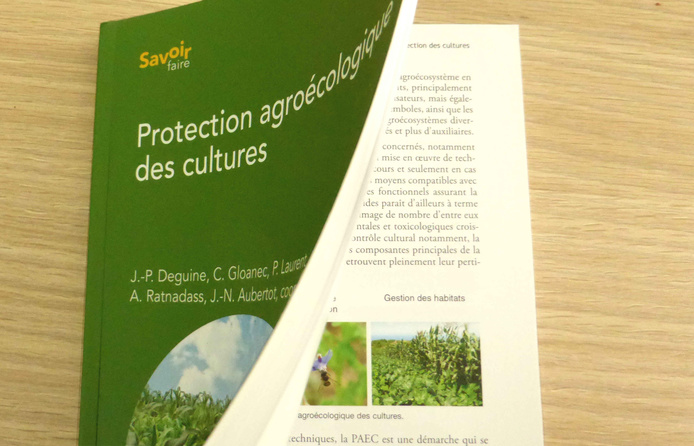 Quae : Protection agroécologique des culture © Reteau Alexandre - Cirad