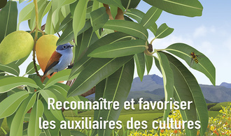 Reconnaître les auxiliaires des cultures à La Réunion