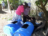 Composting 4