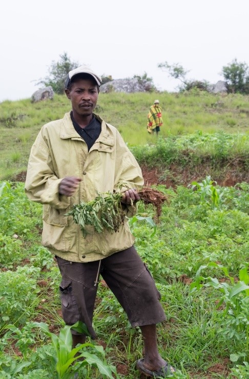 ©ANSES, Gilles Cellier 