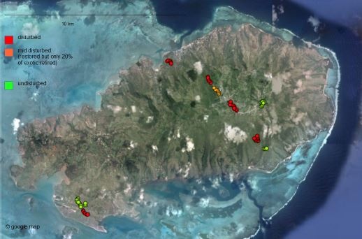 © Ian Macdonald et Baret  Buckland