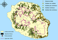 Carte de suivi de la défoliation des massifs de Rubus alceifolius et de l’abondance des adultes de Cibdela janthina en juillet 2012 (1)