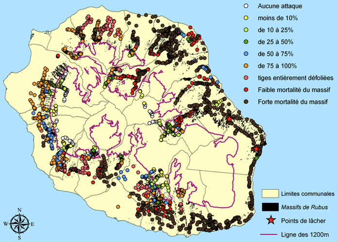 Carte de suivi de la défoliation des massifs de Rubus alceifolius et de l’abondance des adultes de Cibdela janthina en juillet 2012 (2)