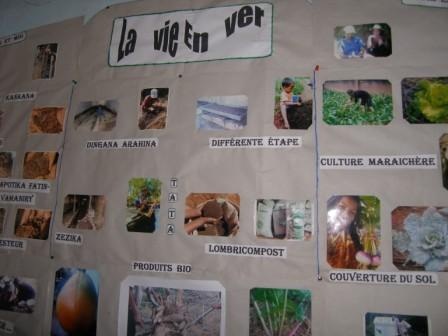 La Vie en Ver avec Tata