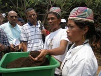 Lombricompost obtenu