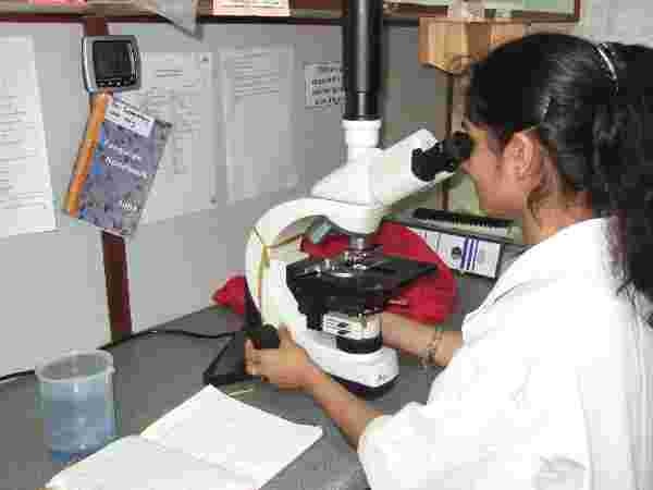 Examination of diseased plant sample