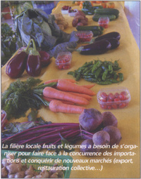 Fruits et légumes : la filière s'organise