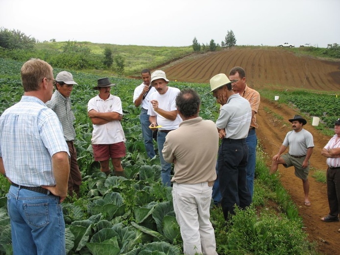 Formation lutte alternative