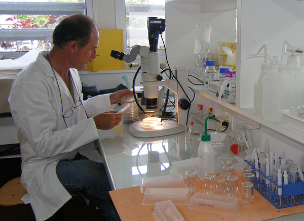 Laboratoire Santé des Végétaux du Pôle de protection des plantes à St Pierre de la Réunion.