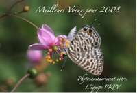 Le PRPV vous souhaite ses meilleurs voeux !