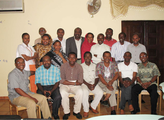 Participants Ã  l'atelier sur l'élaboration de l'inventaire des pesticides POP aux Comores