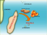 Echanges commerciaux Madagascar-Maurice