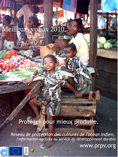 Carte de voeux 2010 du réseau de protection des cultures de l'océan Indien.