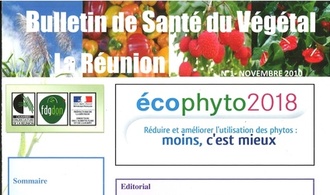 Bulletin de santé du végétal n°1. 