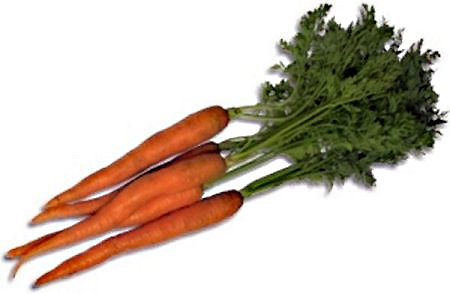 Produire de la carotte pour l’exportation, un grand pas pour la grande île !
