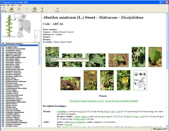 Résultat de reconnaissance dans l'outil AdventOI.