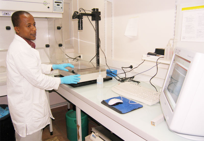 Azali Abdou Hamza dans le laboratoire du Pôle de Protection des Plantes