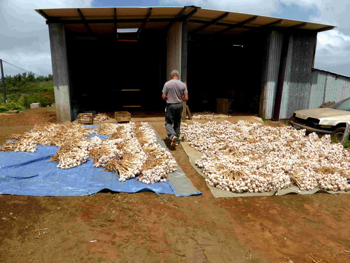 Eddy Barret © Cirad - Alexandre Reteau