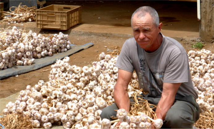 Eddy Barret © Cirad - Alexandre Reteau