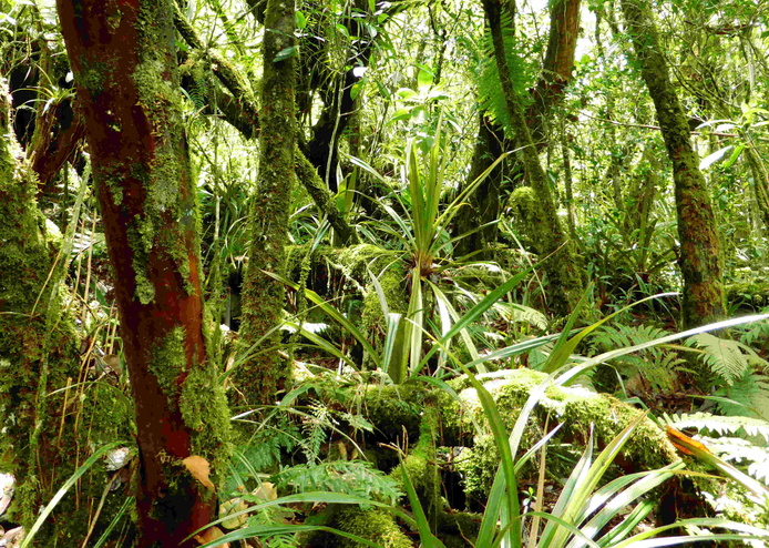 Stratégie pour la Biodiversité © Reteau Alexandre