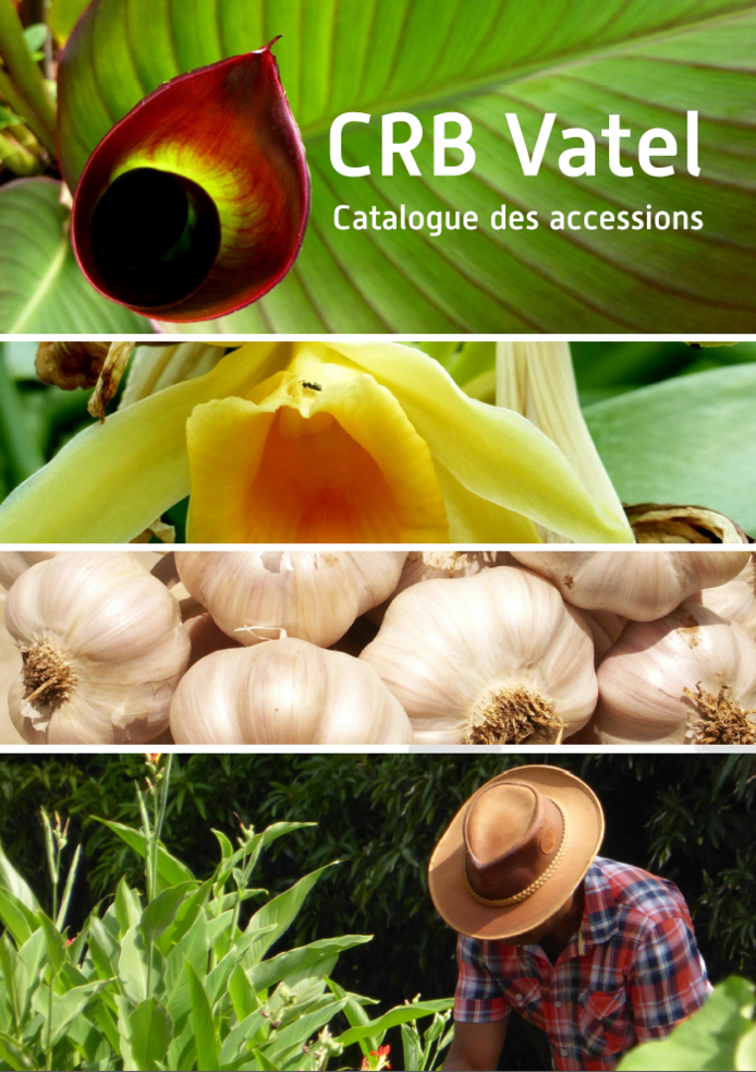Catalogue CRB Vatel