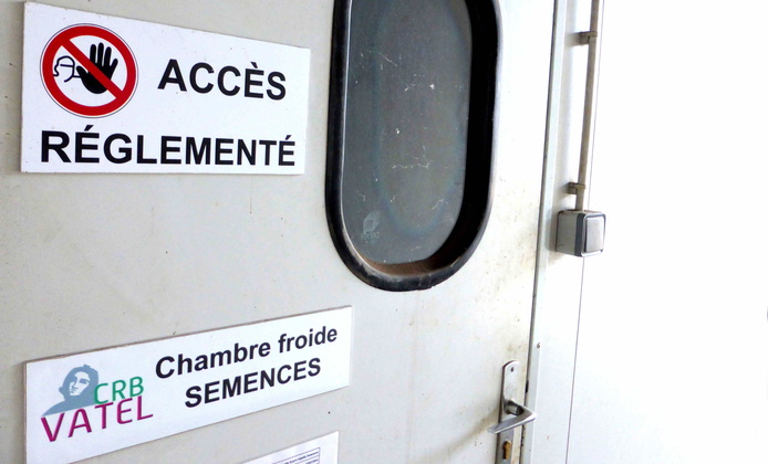 Chambre froide du CRB VAtel © Reteau Alexandre - CIrad