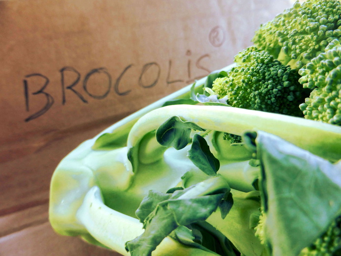 Brocolis et brevets © Reteau Alexandre