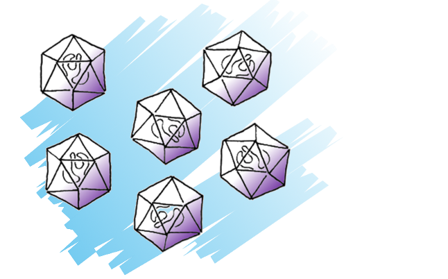 Virus multipartite © Reteau Alexandre