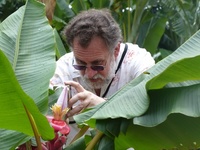 Thierry Candresse, virologue à l'INRA Bordeaux © Projet Safe PGR 