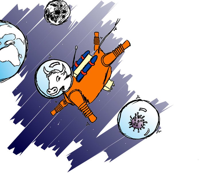 Vache, virus et vide spatial © Cirad - Alexandre Reteau