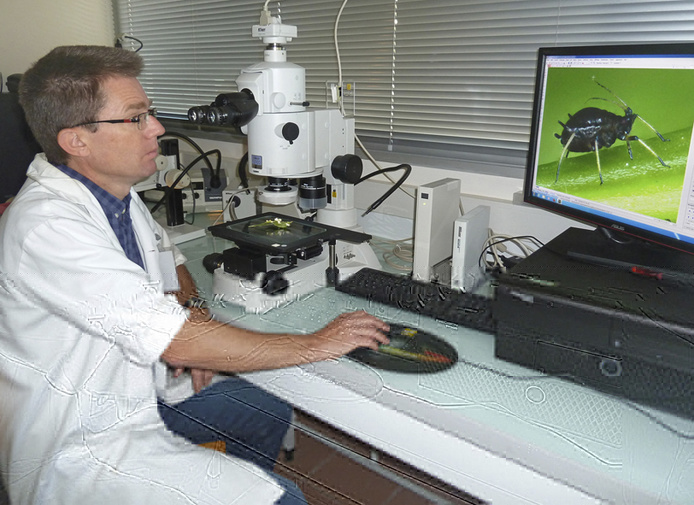 Station d'imagerie macroscopique du Cirad Réunion (© David Josserond) 