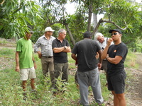 Groupe de travail sur les couvertures végétales (© C. Gloanec)