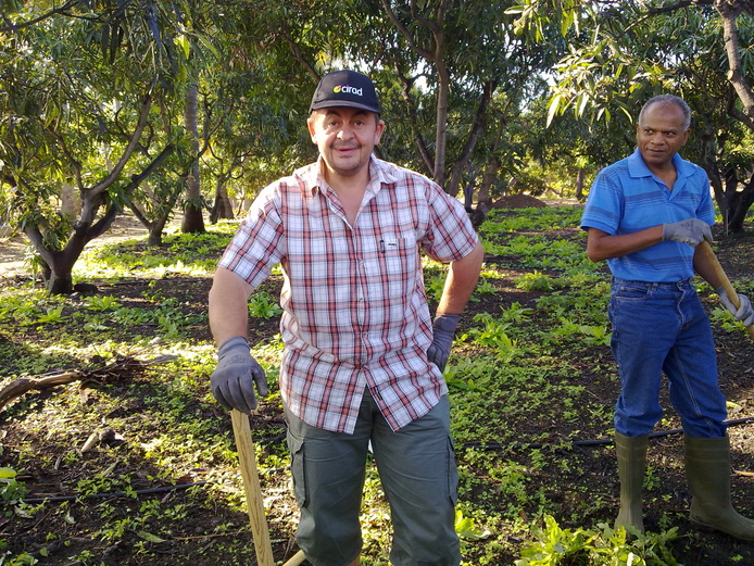 Jean-Philippe Deguine - chef de projet Biophyto (© C. Gloanec)