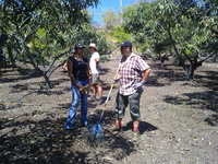 L'équipe BIOPHYTO sur la parcelle d'un producteur (© K. Le Roux)