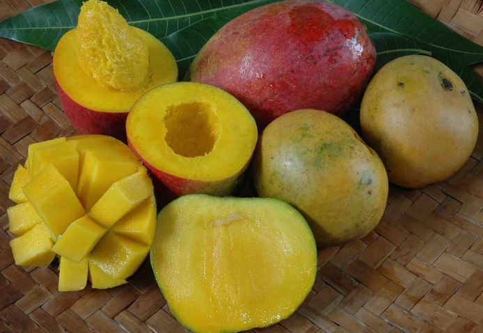 Plateau de mangues (© Biophyto)