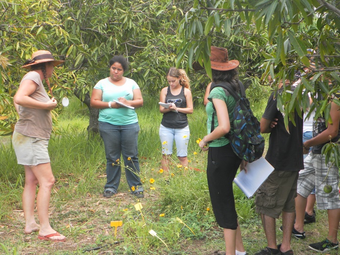 Rencontre entre Sandrine et les étudiants de l'IUT sur son verger (© H. Farges)