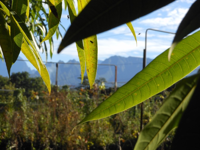 BIOPHYTO prend en compte les aspects environnementaux avec l'aménagement du paysage (© C. Gloanec)