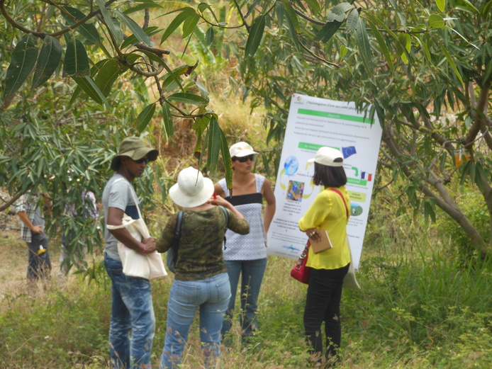 Atelier sur la réglementation phytosanitaire avec Rachel Graindorge de l'ARMEFLHOR © C. Gloanec