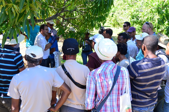 Démonstration de matériel pour le piégeage de mouches des fruits © C. Schmitt