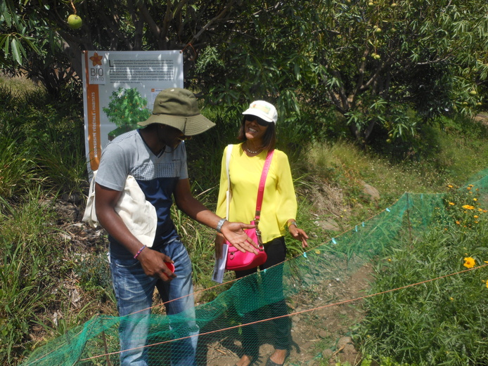 Echange autour des bandes fleuries bis © C. Gloanec