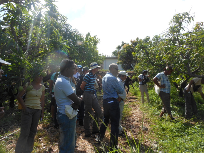 Echange autour de la parcelle de démonstration de matériel d'aspersion © C. Gloanec