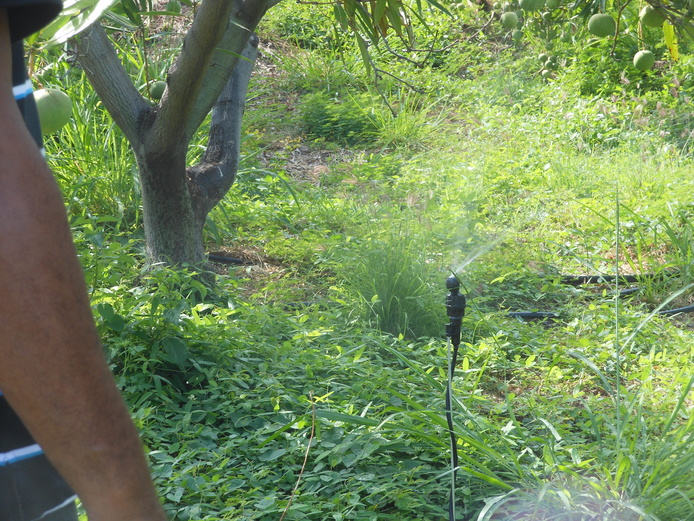 Modèle d'asperseur présenté lors de la journée de démonstration © C. Gloanec