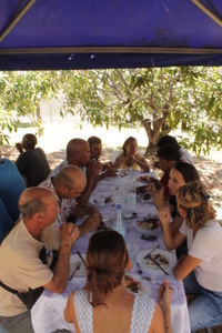 Repas avec les acteurs de la R&D réunionnaise © B. Derepas