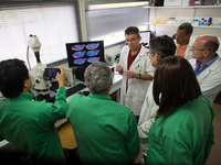 Gilles Boeuf Antoine Franck