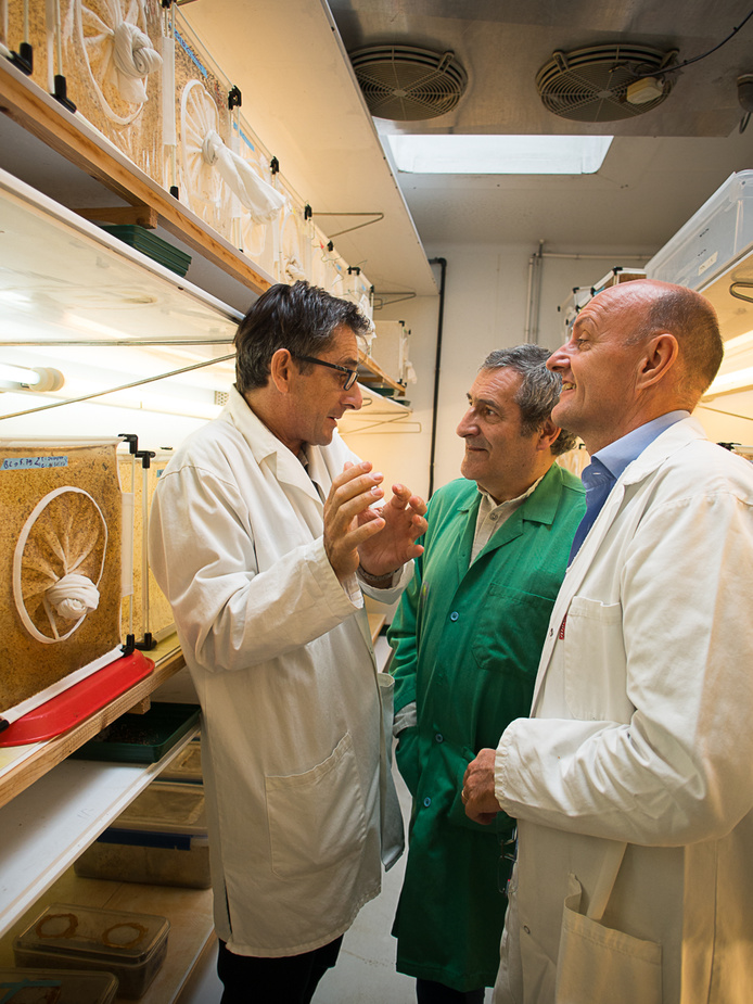 Gilles Boeuf Bernard Reynaud Eric Jeuffrault