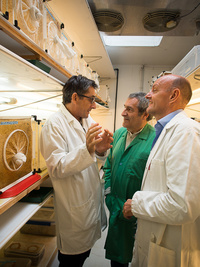 Gilles Boeuf Bernard Reynaud Eric Jeuffrault