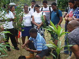 Formation Seychelles Pépinière FULL